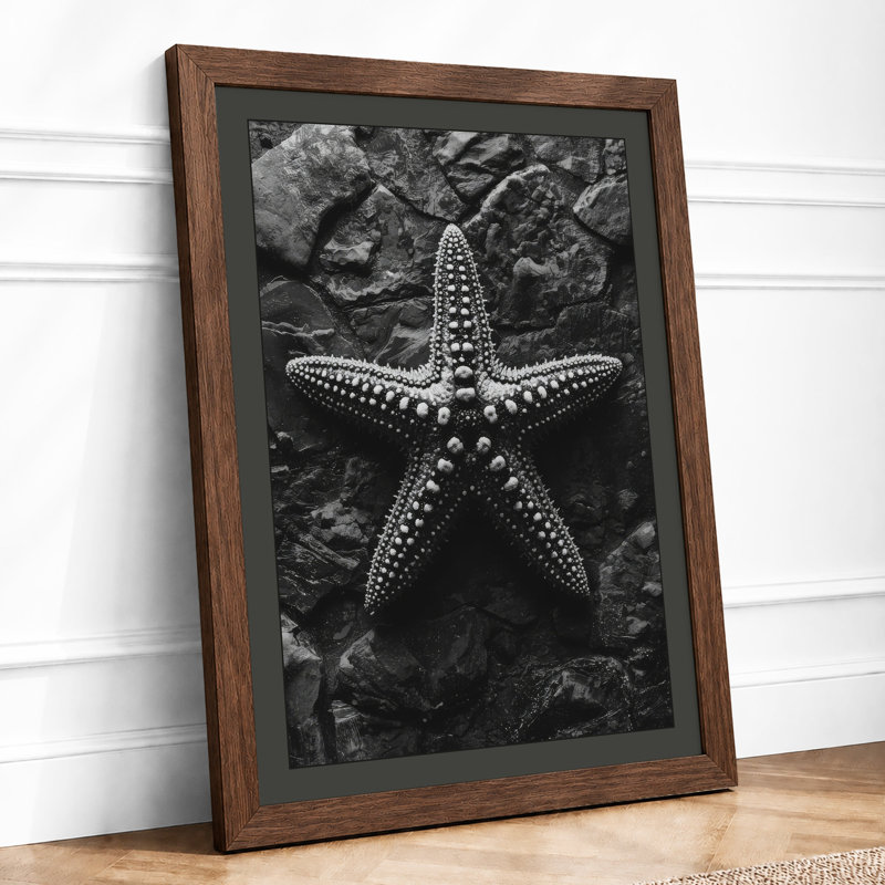 Starfish on Stone Minimalist - Framed Print, Walnut, A1 - 84.1 x 59.4 cm
