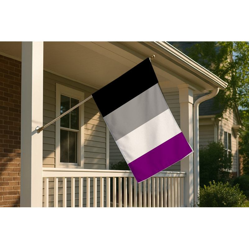 Drapeau de la fierté asexuelle — Drapeau extérieur, H 36 po x l 60 po