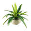 22'' Faux Fern Plant in Wicker/Rattan Basket