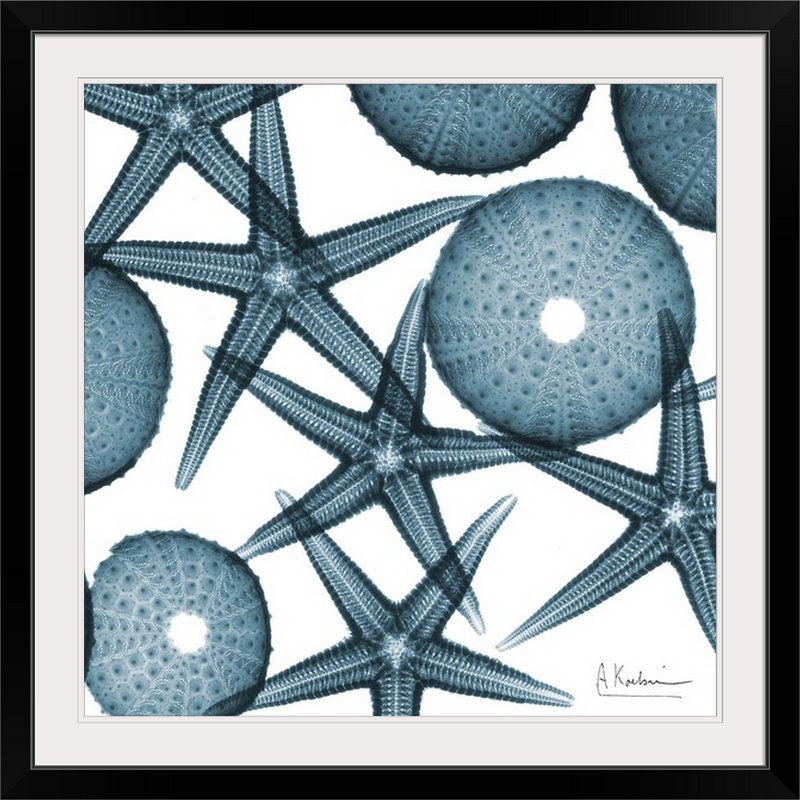 «Starfish X-Ray» par Albert Koetsier - reproduction de photo, Cadre noir, H 20" x l 20" x P 1"