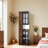 Glass Door Display Cabinet With Lighting