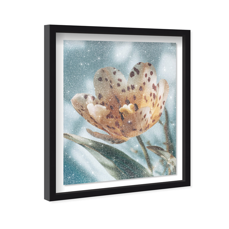 Dapple Bloom II Framed Graphic Art, 31.5"H x 25.5"W, Black Shadowbox