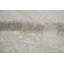 Oriental Area Rug in Beige
