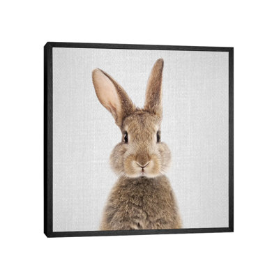 Rabbit by Gal Design - Print on Canvas