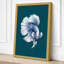 Betta in Blue Modern - Wrapped Canvas-1297467203-1297467207