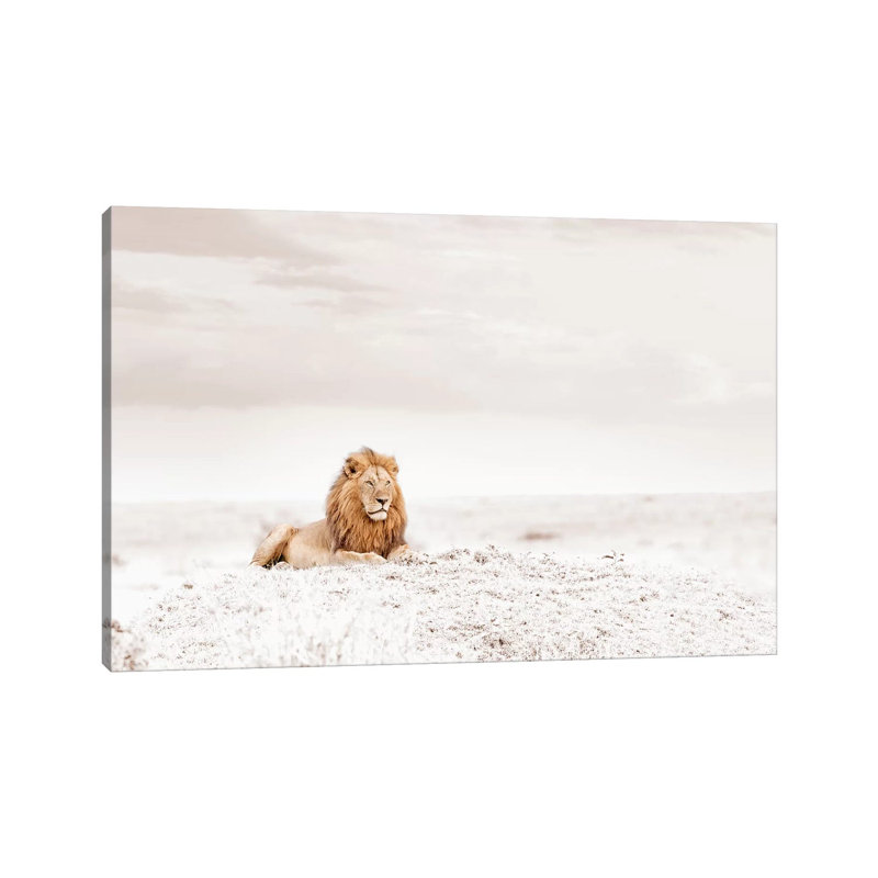 White Lion by Klaus Tiedge - Print on Canvas, Wrapped Canvas, 20.32 cm H x 30.48 cm W