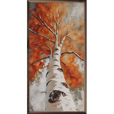 Tall Fall Birch Tree