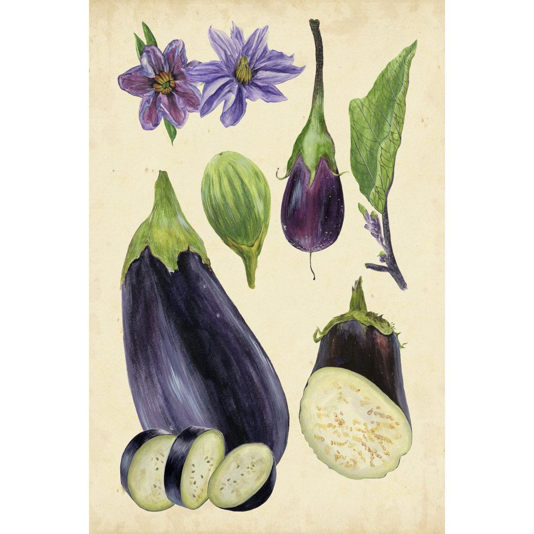 Leinwandbild Aubergine Study I von Melissa Wang