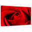 Harnek, gros plan d'une rose rouge-108734022