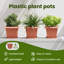  Square Flower Pot 6 Pcs Plastic-354333275-354333274