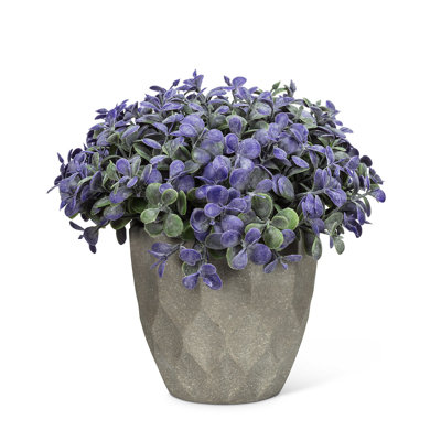 Arrangement floral mixte en pot