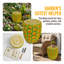 Tabouret de jardin 14 po en résine d'ananas, table d'appoint et support pour plantes - Décoration tropicale surdimensionnée pour patio, balcon et maison