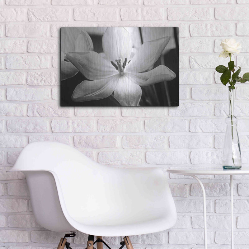 "Tulipes translucides IV" par Debra Van Swearingen, H 16 po x l 24 po