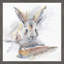 « happy lapin », reproduction d’art encadrée-21128588