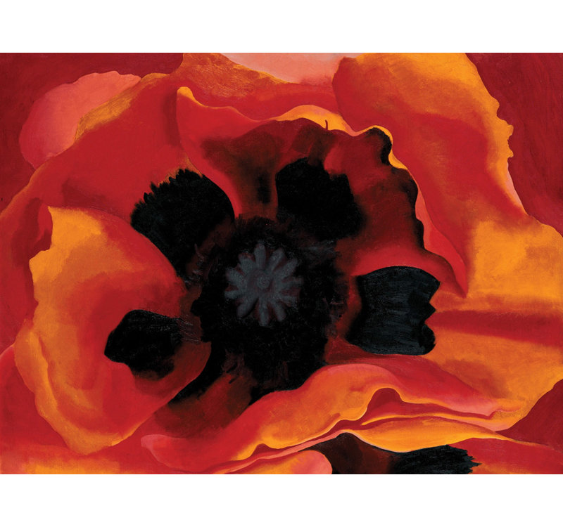 Poppy 2