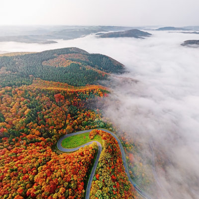 Aerial View Of Autumn Forest - No Frame Print on Canvas