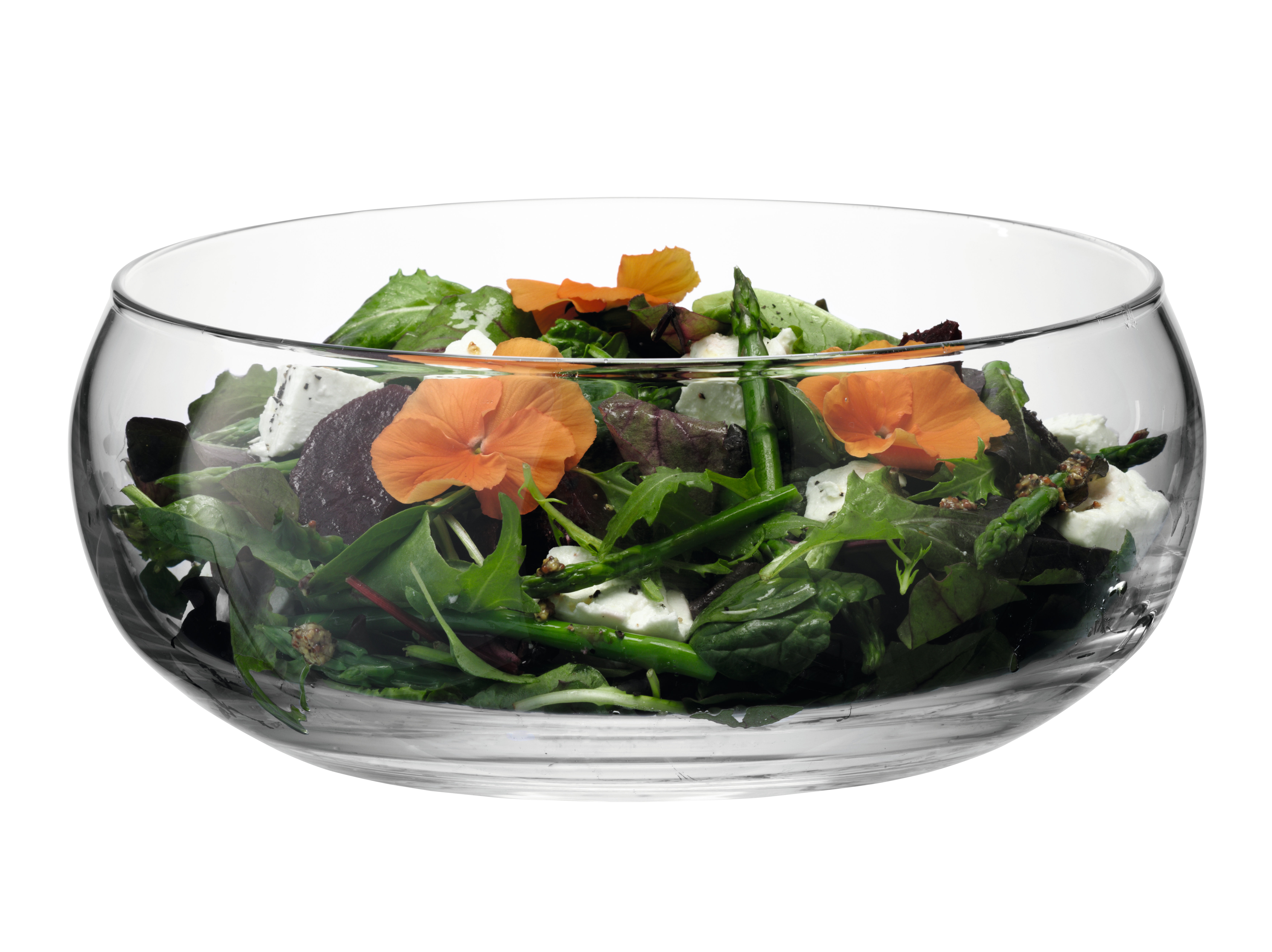 LSA International Serve Serving Bowl Wayfair