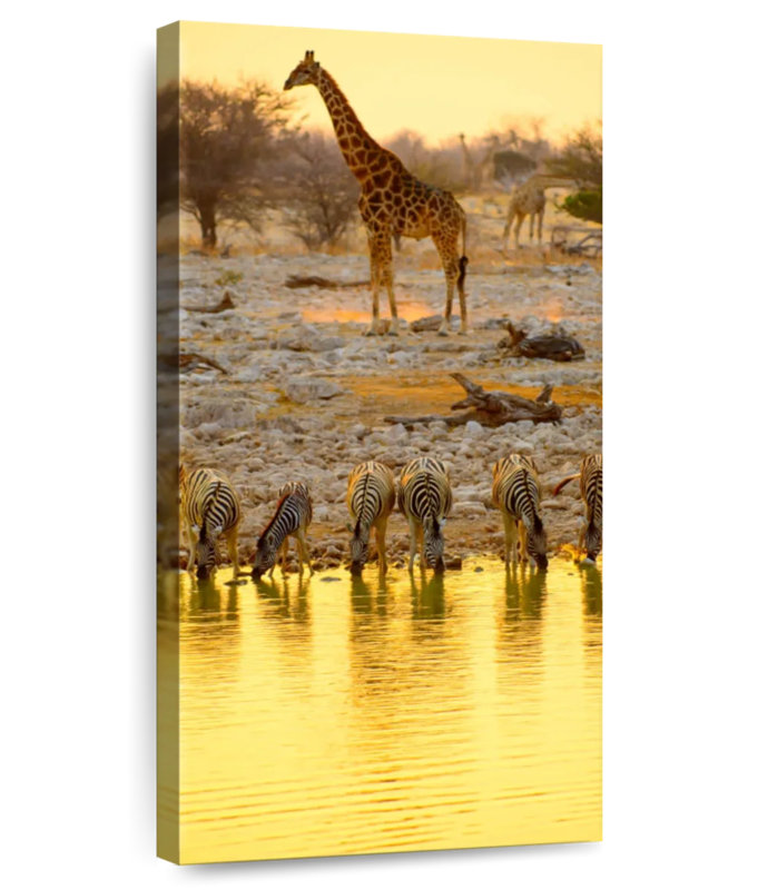 Animaux Etosha Park Safari, H 24 po x l 12 po