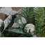 180cm Lighted Faux Garland with Lights