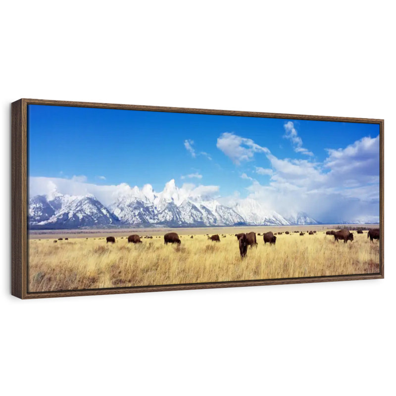Troupeau de bisons au parc national de Grand Teton WY, Floating Frame Walnut, 37" X 13"