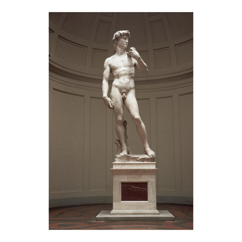 «David» par Michel-Ange - Impression giclée, H 20 po x l 16 po
