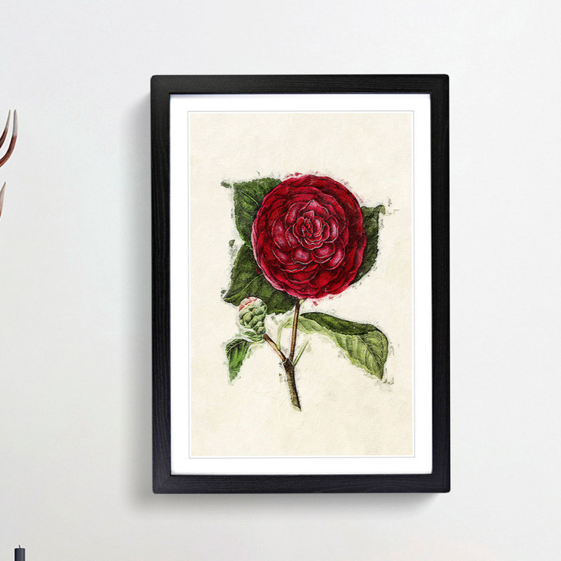 Illustration of a Red Japanese Camellia - Picture Frame Painting Print, 36cm H x 27cm W x 2cm D, Black Framed