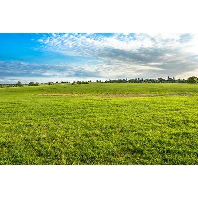 «Green Meadow» par Alicjane - photographie sur toile tendue
