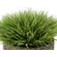 Gazon artificiel 8 po dans un panier-1941322100-1972723837-1972723833