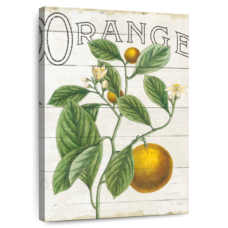 Yarlin Classic Citrus III Shiplap, 39" H x 26" W