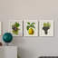 Antique Fruit VI - ensemble de 3 reproductions d'art sur toile-1071139945-1071139948