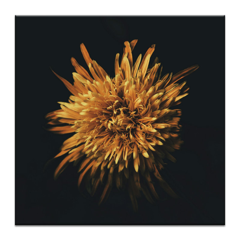 Painting on Canvas, Wrapped Canvas, 41cm H x 41cm W