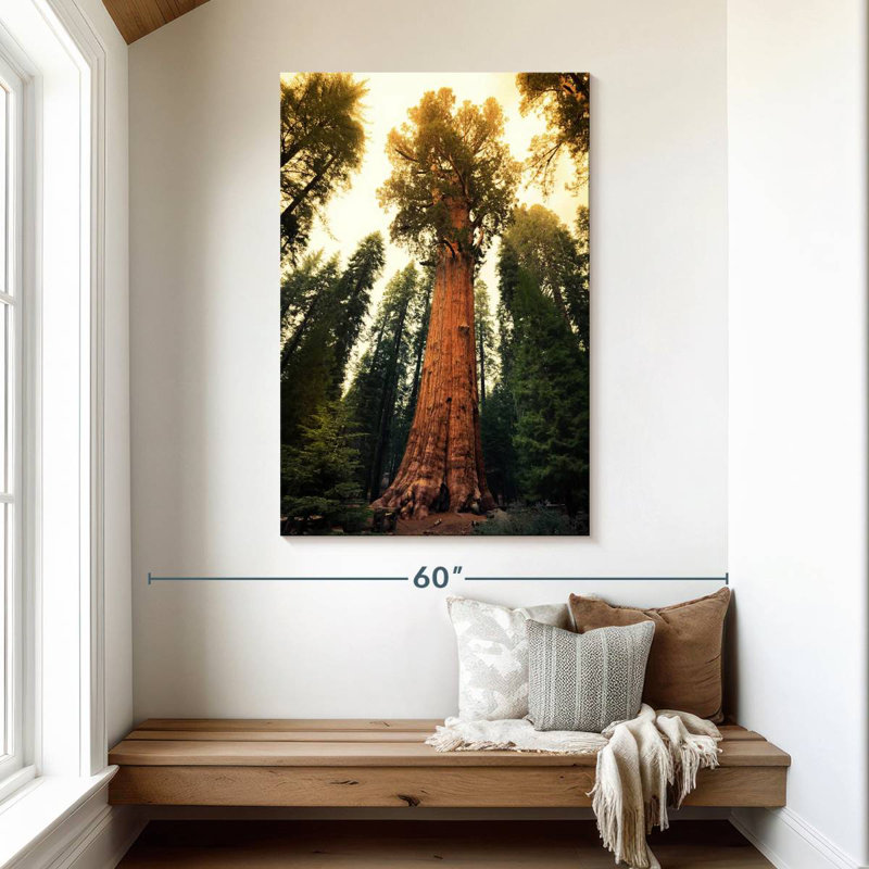 Alvord Twilight Sequoia National Park, H 48 po x l 32 po