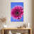 Harnek Pink Gerbera Daisy I-108649967