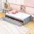 Casstown Twin Daybed with Two Drawers-1676685316