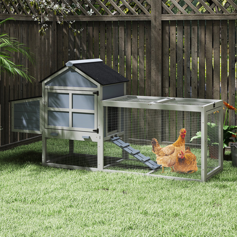 Outdoor Chicken Coop