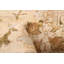 Tapis brun / beige en laine noué à la main de conception unique 9 pi 4 po x 12 pi New Age Chobi