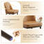 Chaise rembourrée en bois massif-1636088433