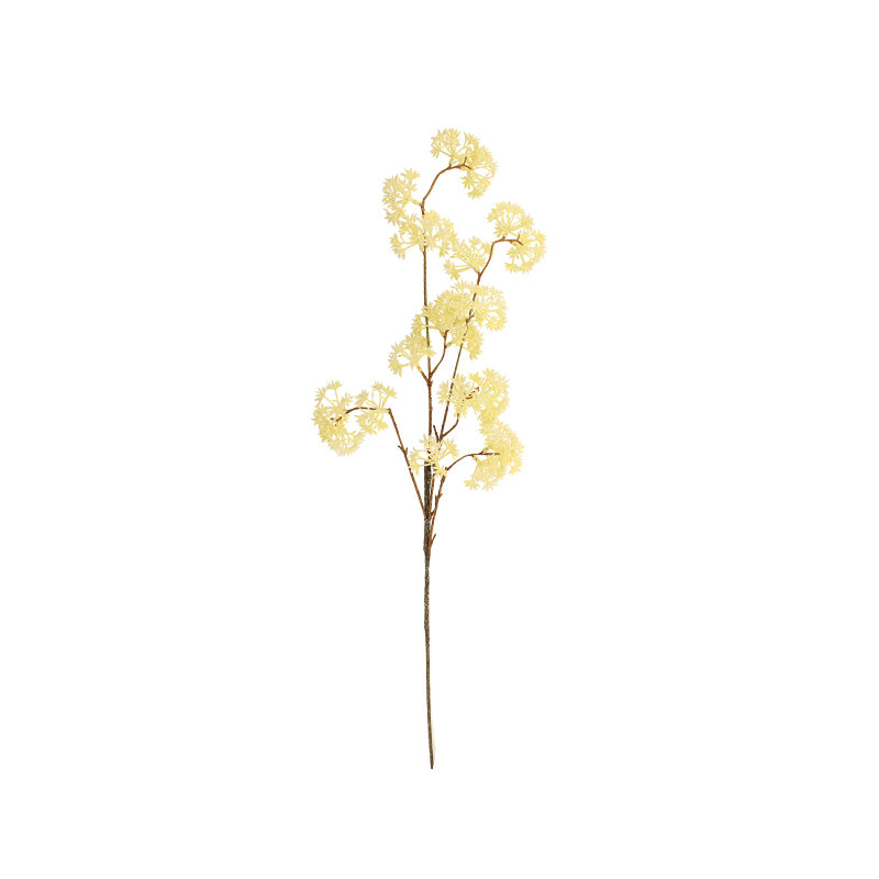 Arrangement