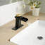 Robinet pour salle de bain à poignée simple avec drain-97742786