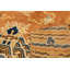 Hand Knotted Wool Area Rug in Orange