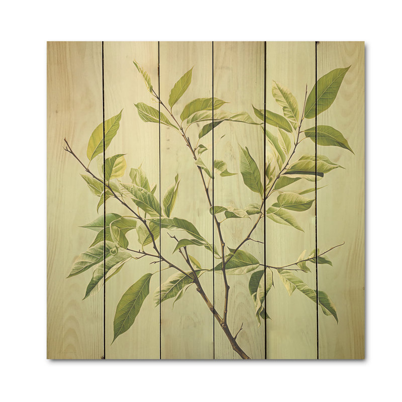 «Green Ferm Simple Collage I - Leaves Wood», art mural sur bois de pin naturel, H 15 po x l 15 po