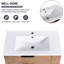 Lavabo de meuble-lavabo mural de 30 pouces avec tiroir à fermeture en douceur et évier fixé à la poche latérale, support de 30 po. Chêne imitation, matériau en contreplaqué