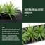 Artificial Grass in Planter