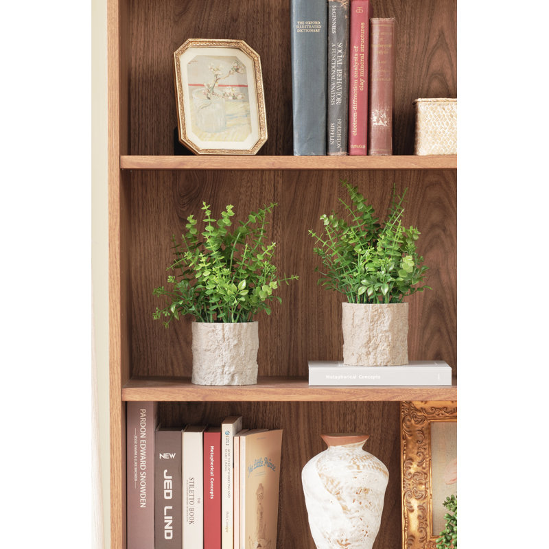 Eucalyptus In Pot(set Of 2)