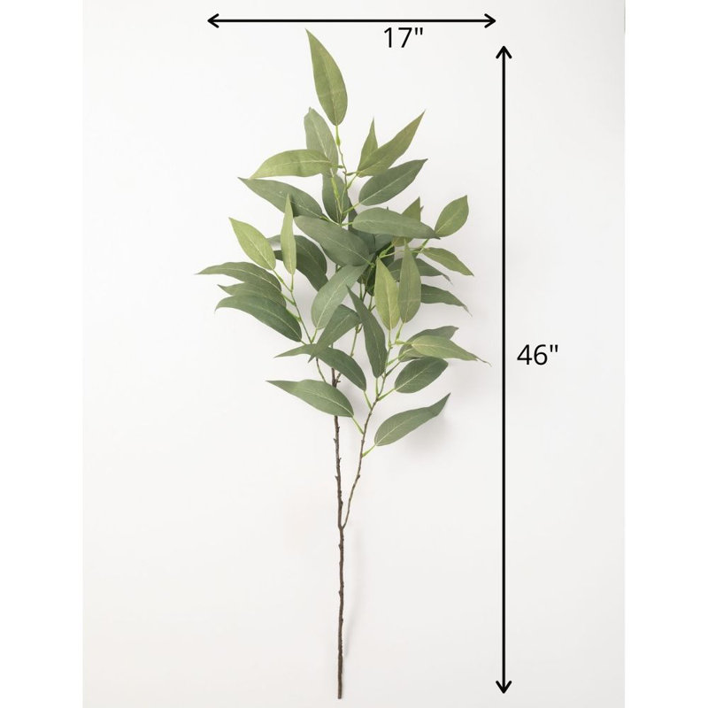 Eucalyptus Spray