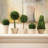 Alby 5 Piece PG Topiaries Potted Set