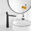9316H - Robinet de lavabo vasque à poignée simple noir avec ensemble de bonde