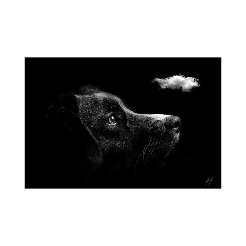 Discovering I by Kathrin Federer - Wrapped Canvas Print, 101.6 cm H x 66.04 cm W x 3.175 cm D