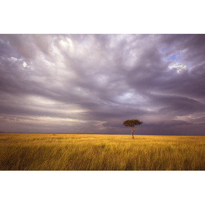 Paysage africain par Wldavies