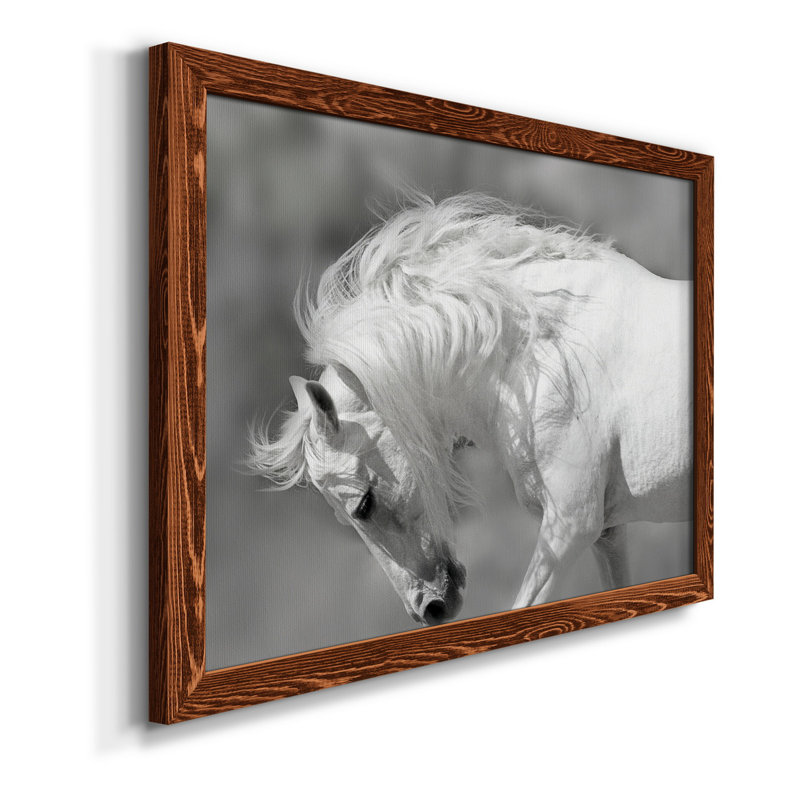 White Stallion - reproduction de photo sur toile encadrée, H 31 po x l 44 po x P 1 po, Érable